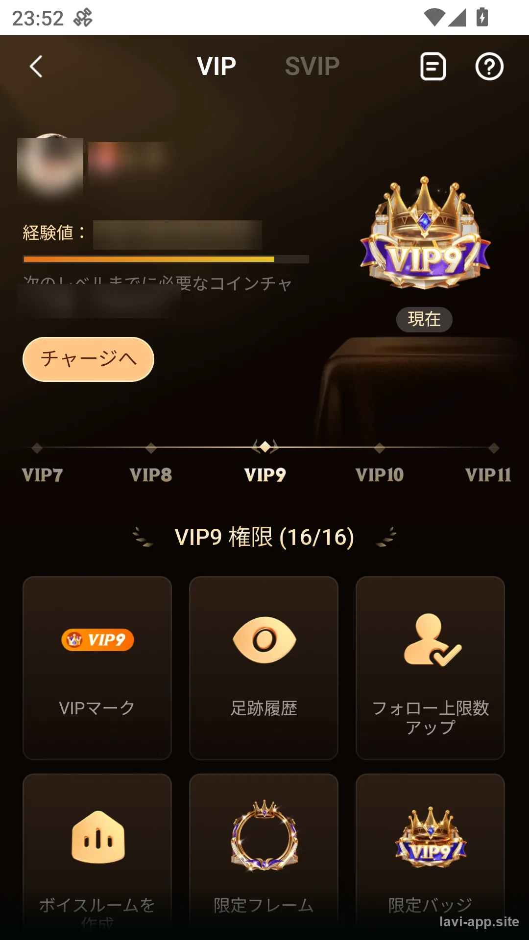 VIP/SVIPセンター。ランクごとに使える特典が並ぶ